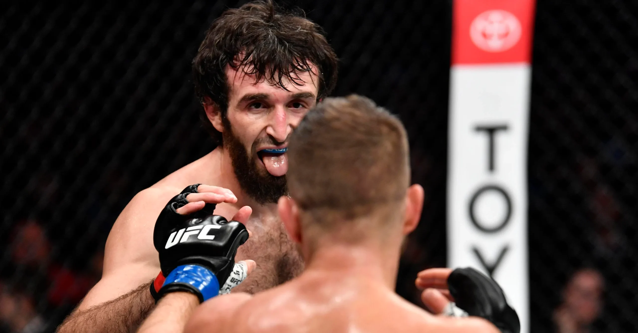 zabit magomedsharipov - ilustrasi berita Zabit Magomedsharipov akan tanding grappling lawan Youssef Zalal di ACBJJ 22